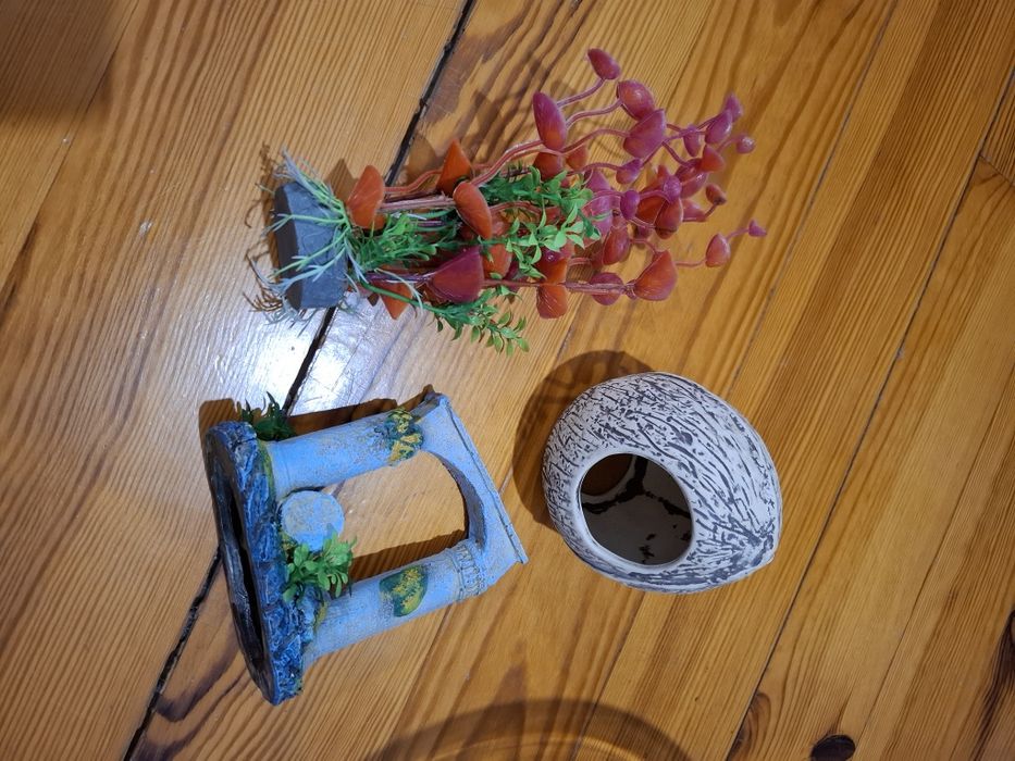 Ozdoby do akwarium roślinka kokos domek