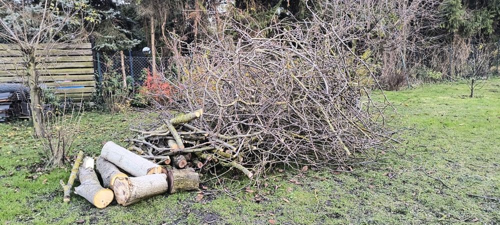 Drewno, orzech, pozostałości po budowie.