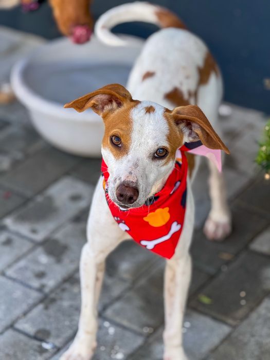 Otávio - 3 anos, 10kg