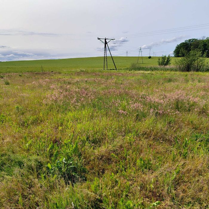 Działka na sprzedaż - Sobowidz