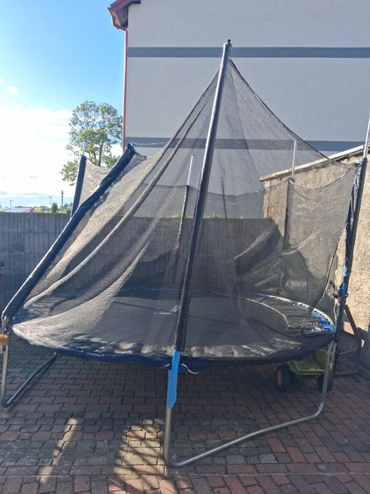 Trampolina odrodowa