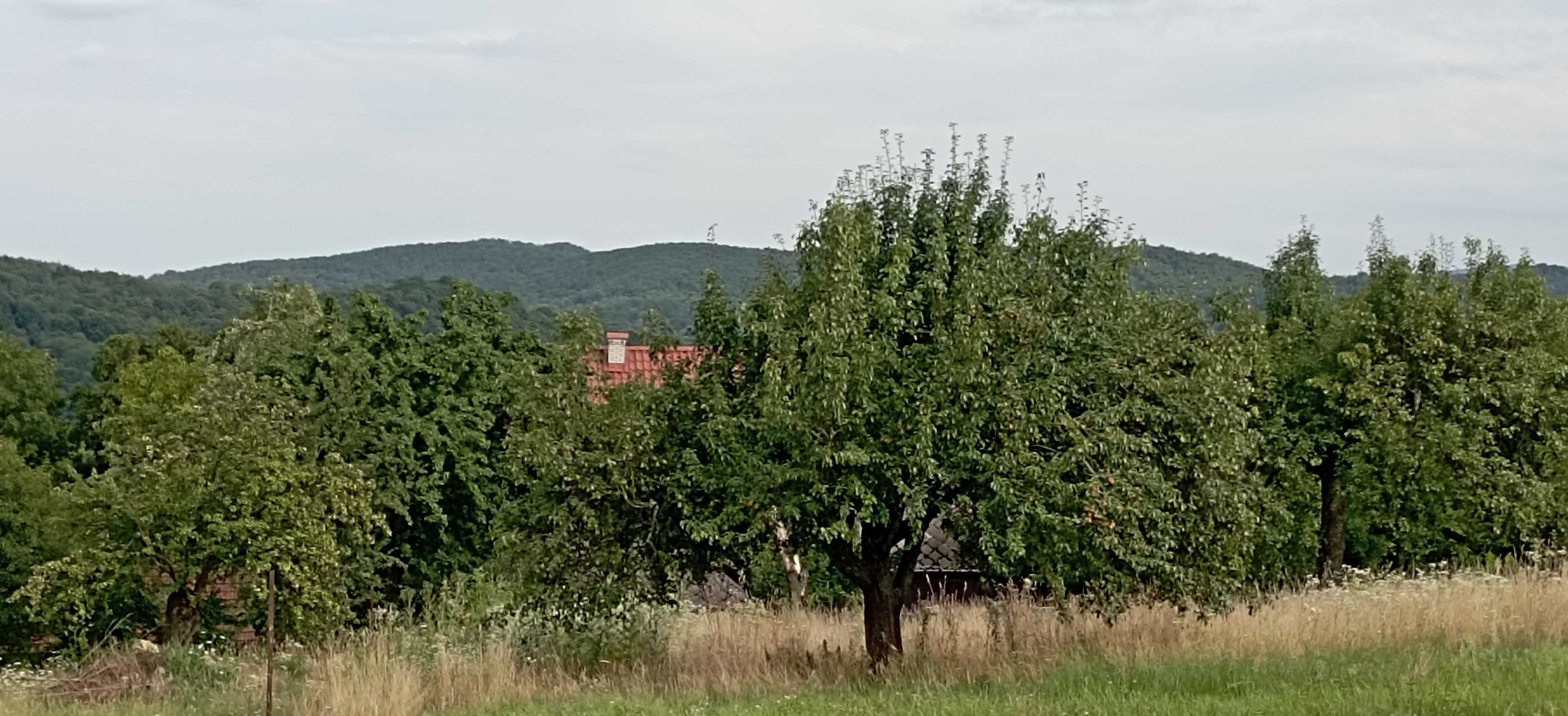 Продаємо будинок село Солочин з чудовим видом на Карпати