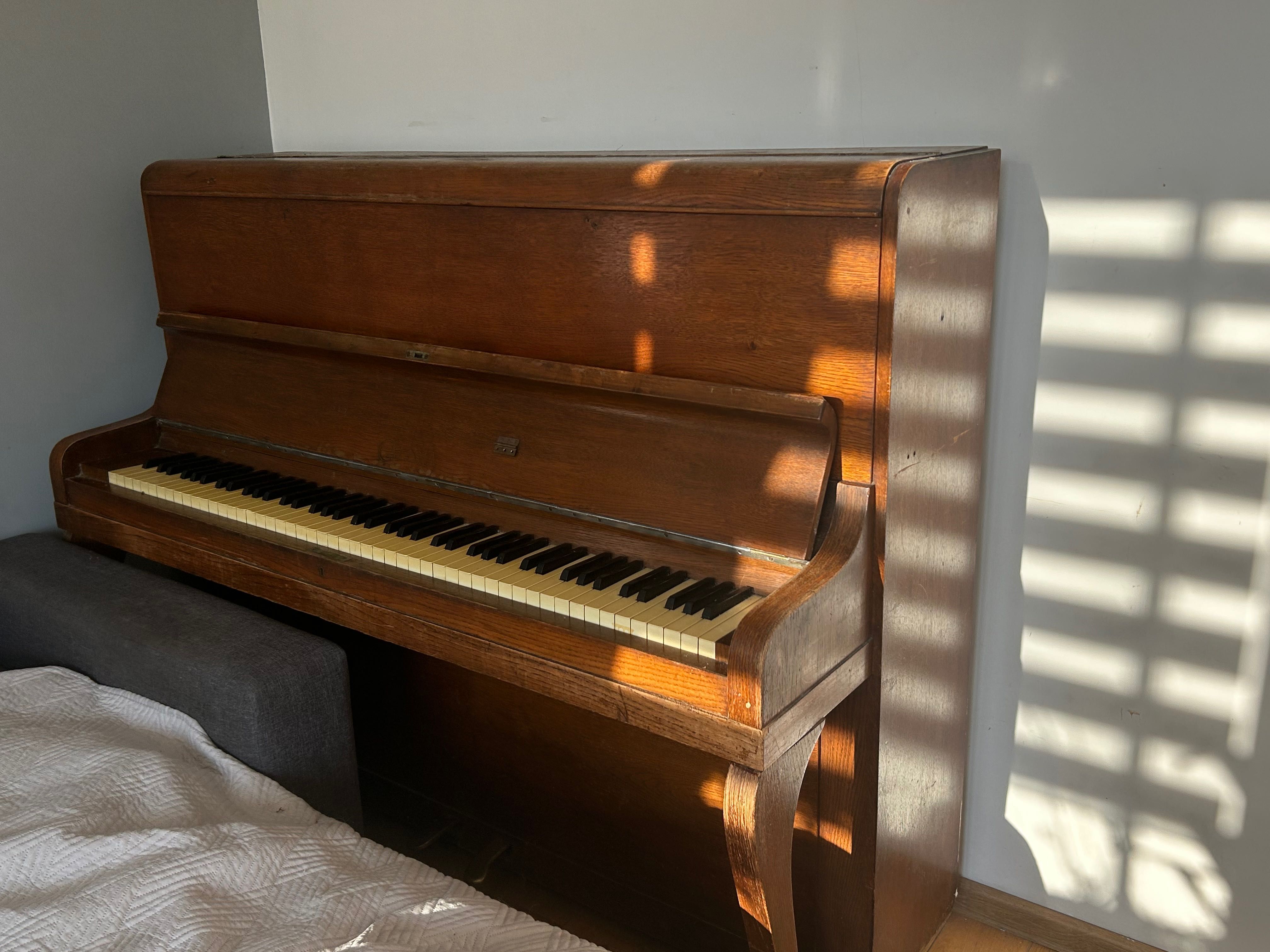 Pianino Calisia brązowe