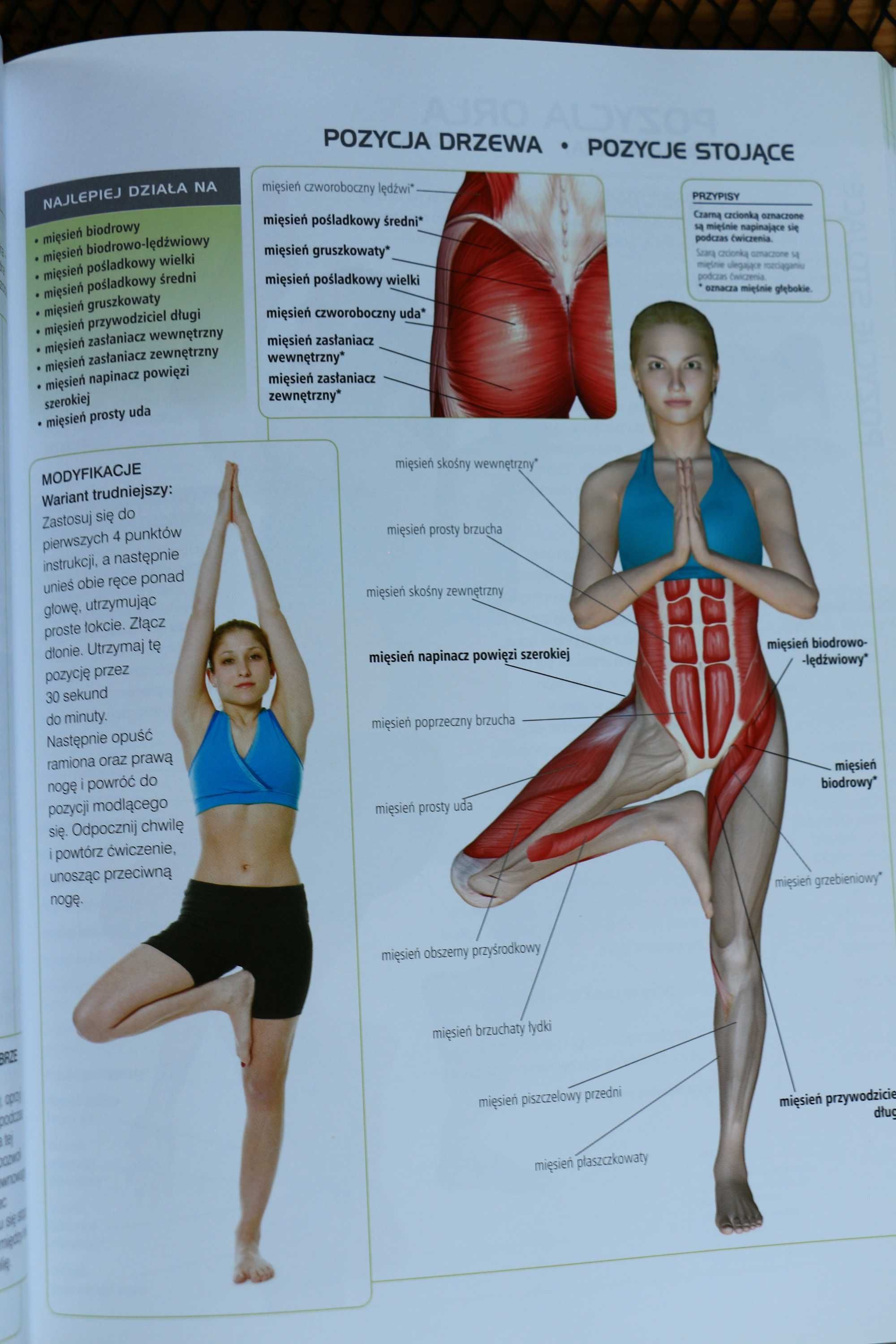 Anatomia Jogi Atlas ćwiczeń dr Abigail Ellsworth stan idealny