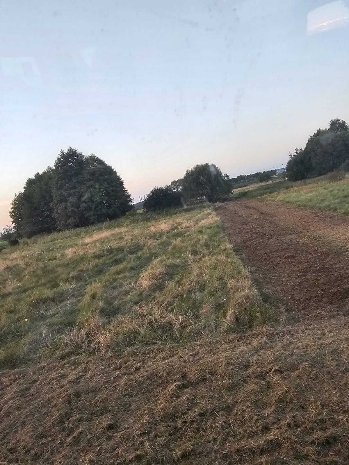 Porządkowanie działek z drzew krzewów Mulczer Karczowanie