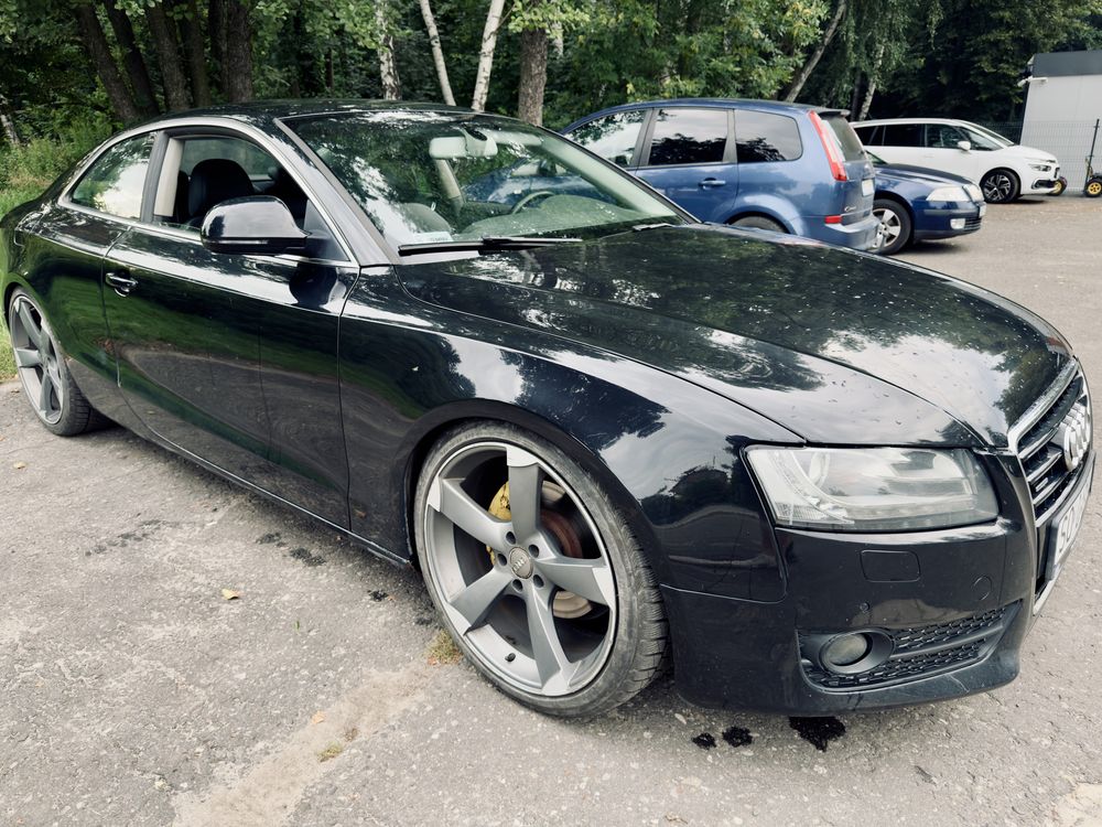 Audi A5 3.0 TDI Quattro Manual, potrzebujący miłości