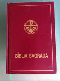 Bíblia sagrada capa grossa