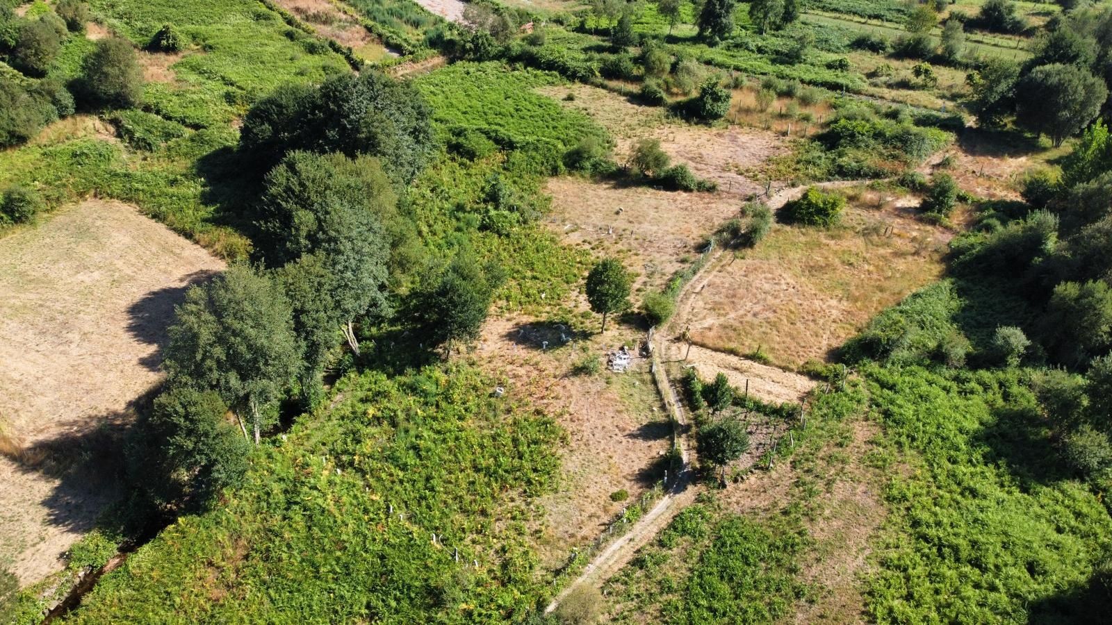 Terrenos rusticos Viseu