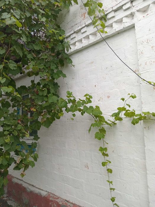 Здам будинок за Борисполем - смт Баришівка. Є відео огляд