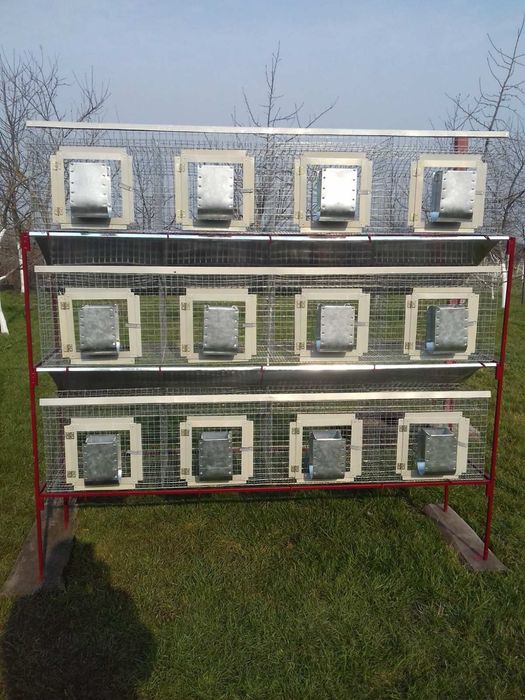 Клітка для кролів