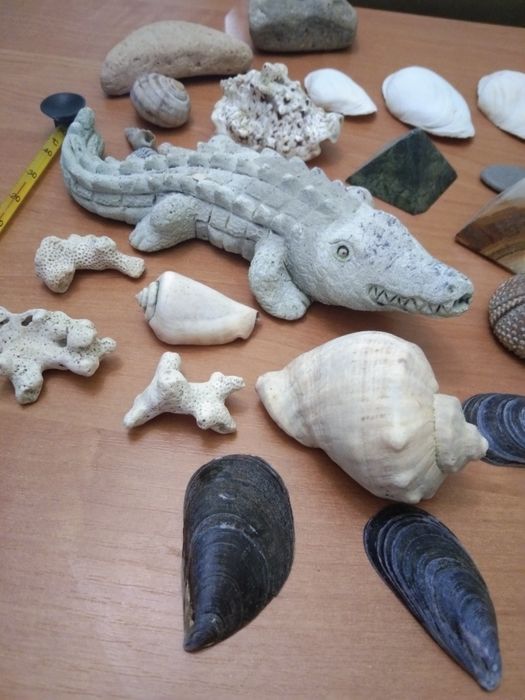 Набор,ракушки,украшения для аквариума,термометр