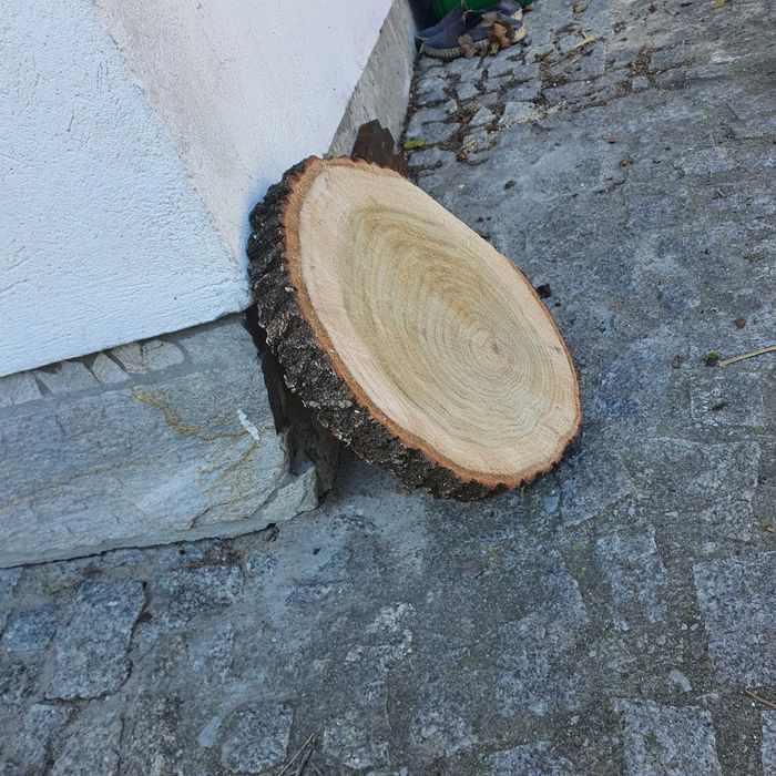 Krązki plastry kółka drewniane