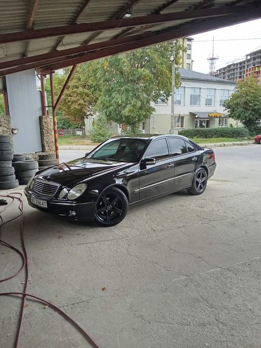 Продам Мурчіка  Авангард Або Обміняю