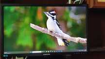 Monitor Samsung 23 cale FULL HD 1920 x 1080