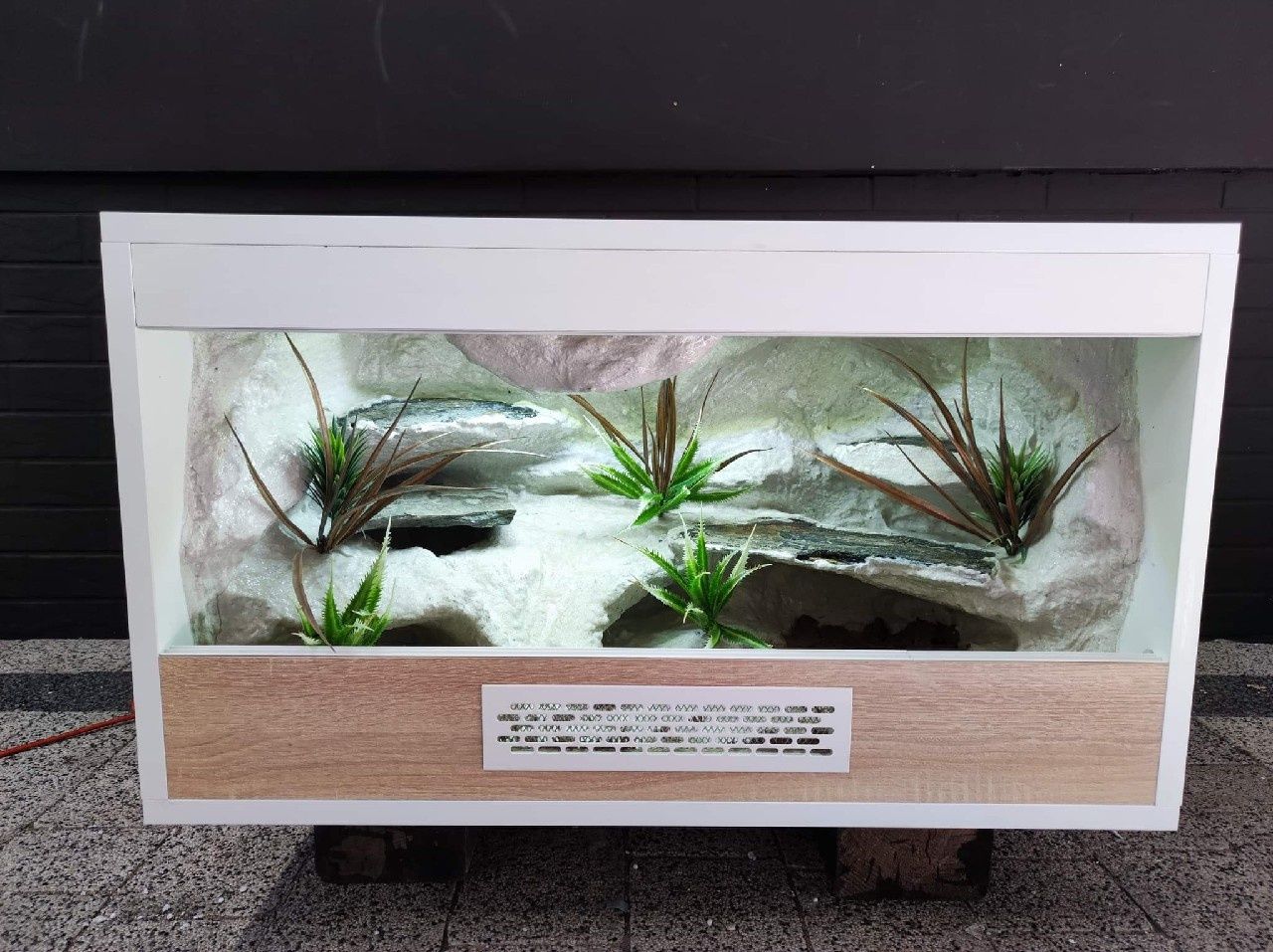 Terrarium gekon lamparci jaszczurka PETMARKET