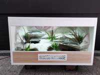 Terrarium gekon lamparci jaszczurka PETMARKET