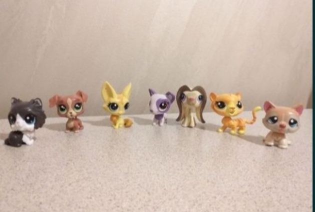 Little  Pets Shop