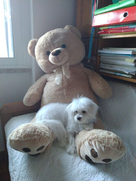 Urso de peluche 1 metro