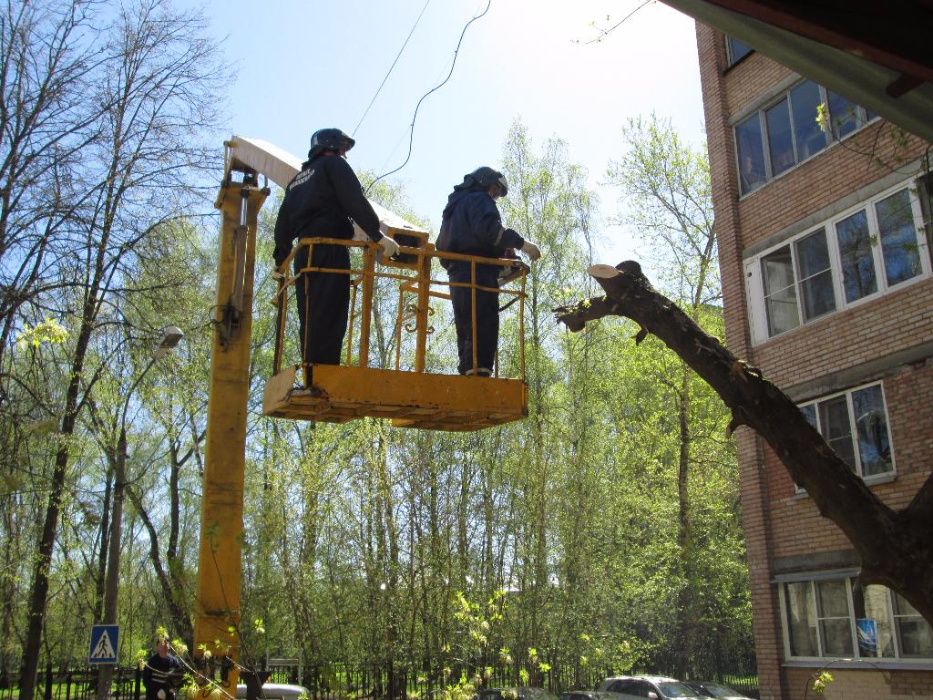 Видалення дерев Розчищення ділянки прибирання території Демонтаж вивіз