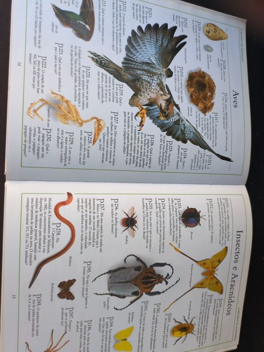 1001 Perguntas e Respostas