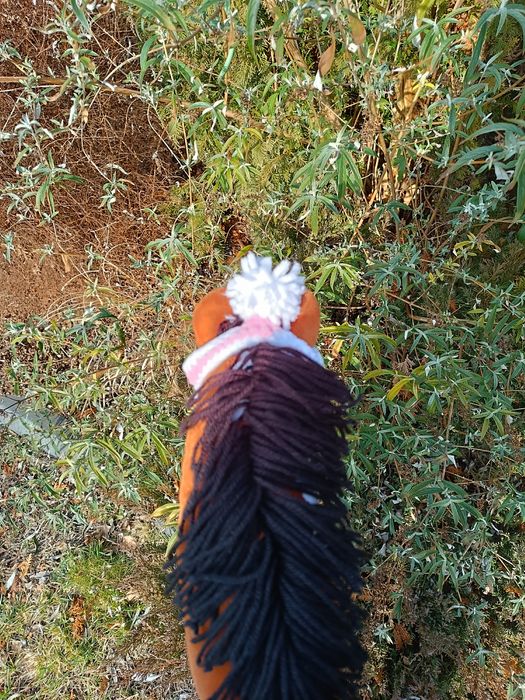 Czapeczka dla hobby horse