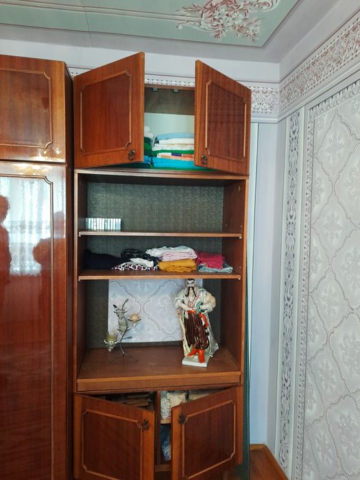 Велика кімнатна стінка