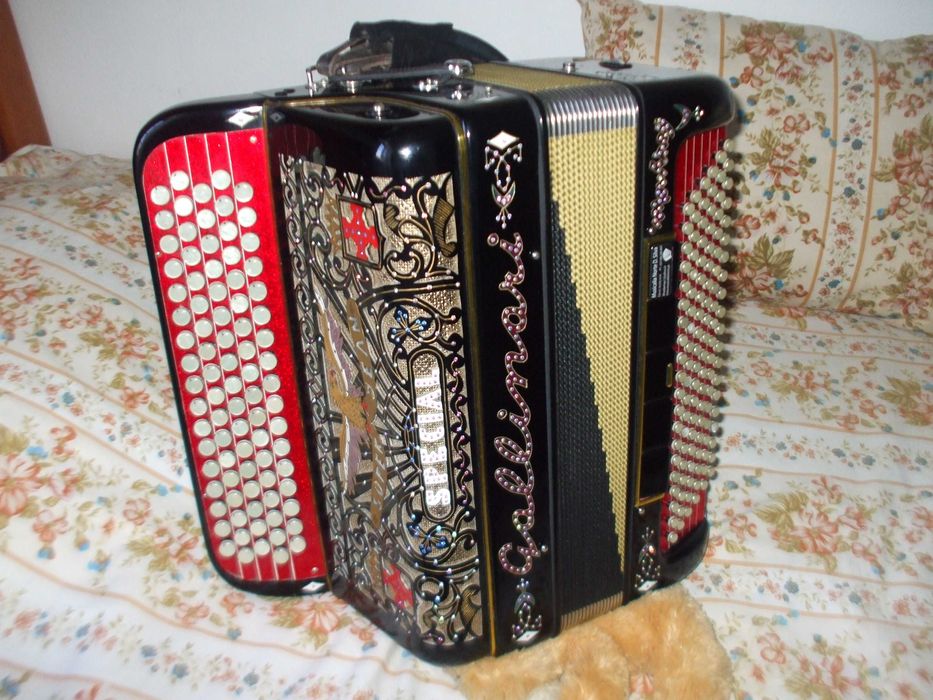 Acordeon de Botões Marca Gallinari 3ª voz Electrificado