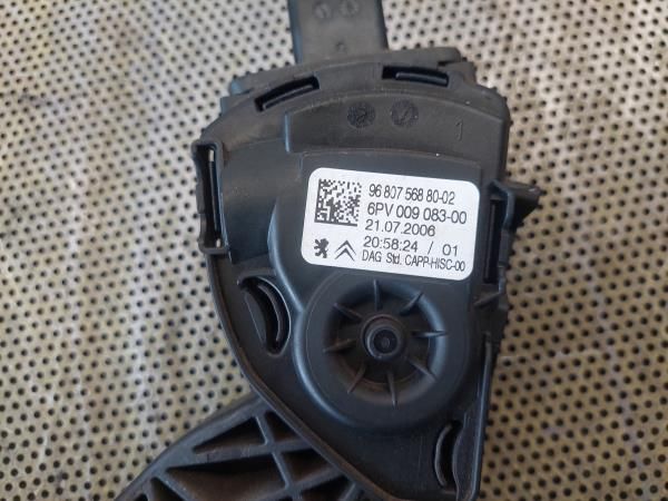 Pedal do acelerador PEUGEOT 207 (WA_, WC_)