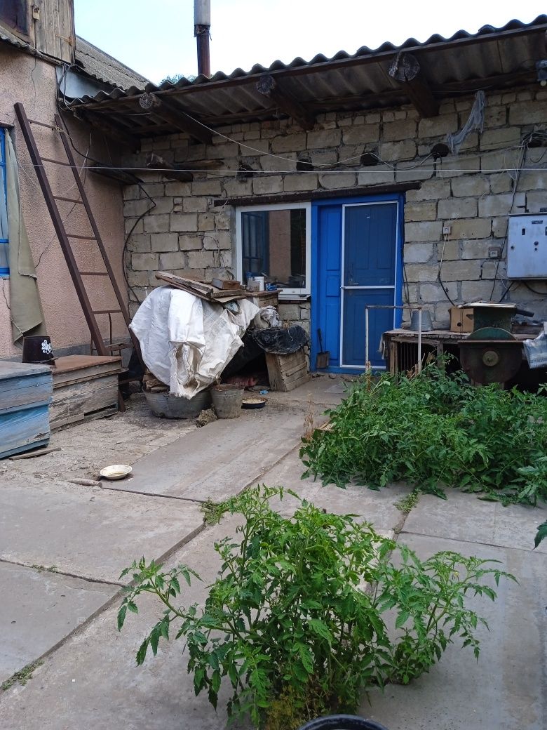 Продаж будинку в с.Привільне, Миколаївська область