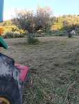 Limpeza de terrenos agrícolas e florestais