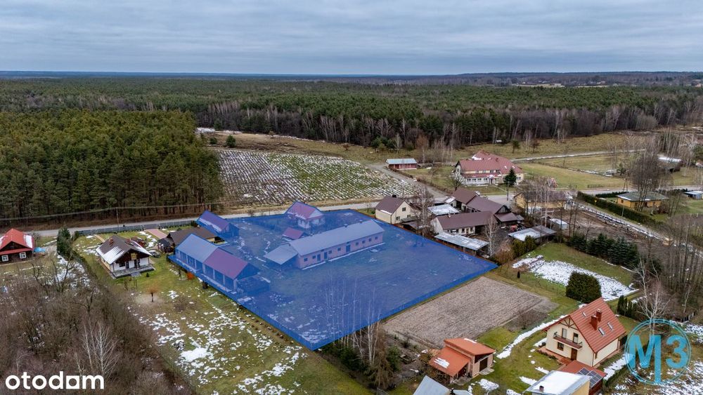 Bieliny – tu zaczyna się dzień bez pośpiechu