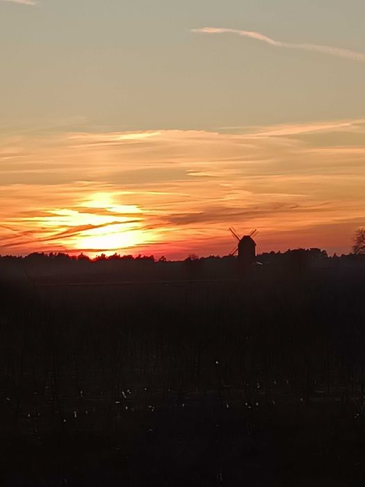 Sprzedam sad na wzgórzu