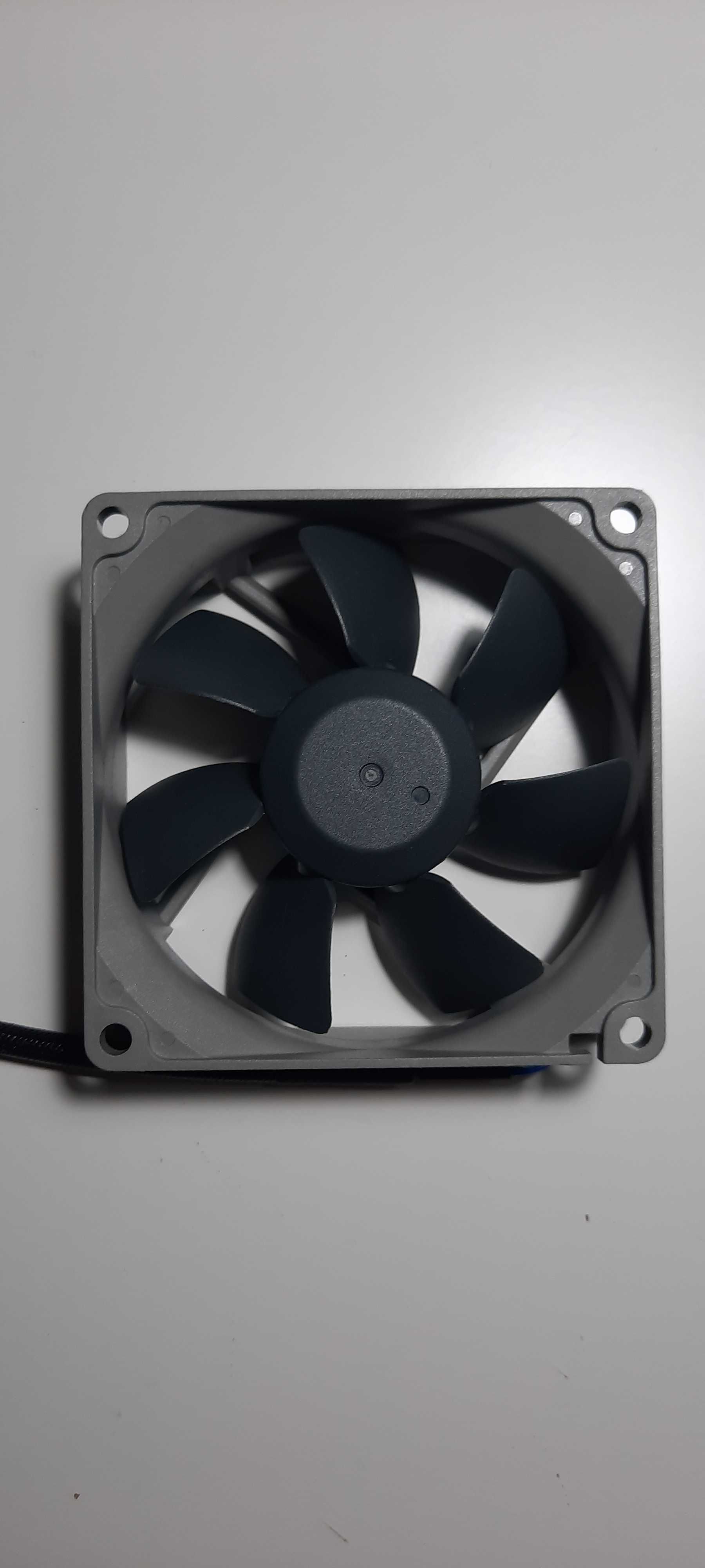 Noctua NF-R8 PWM  Ventoinhas