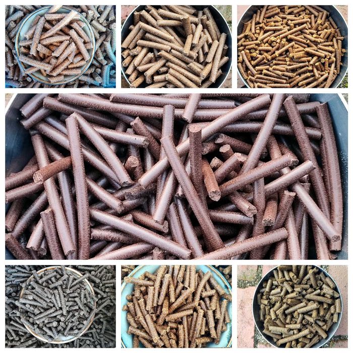 Sprzedam MAKUCH / z różnych nasion / DOSTAWA