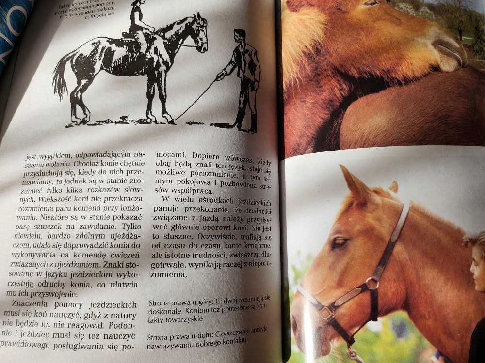 Jazda konna bez stresu