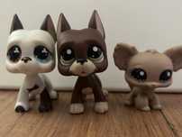 Littlest Pet Shop LPS Dog Niemiecki Chihuahua Zestaw Oryginał