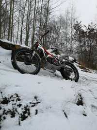 beta evo trial gas gas sherco trs