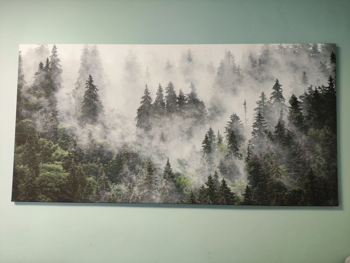 Obraz na płótnie 160x80 las
