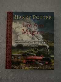 Livro Harry Potter - Um Ano Mágico