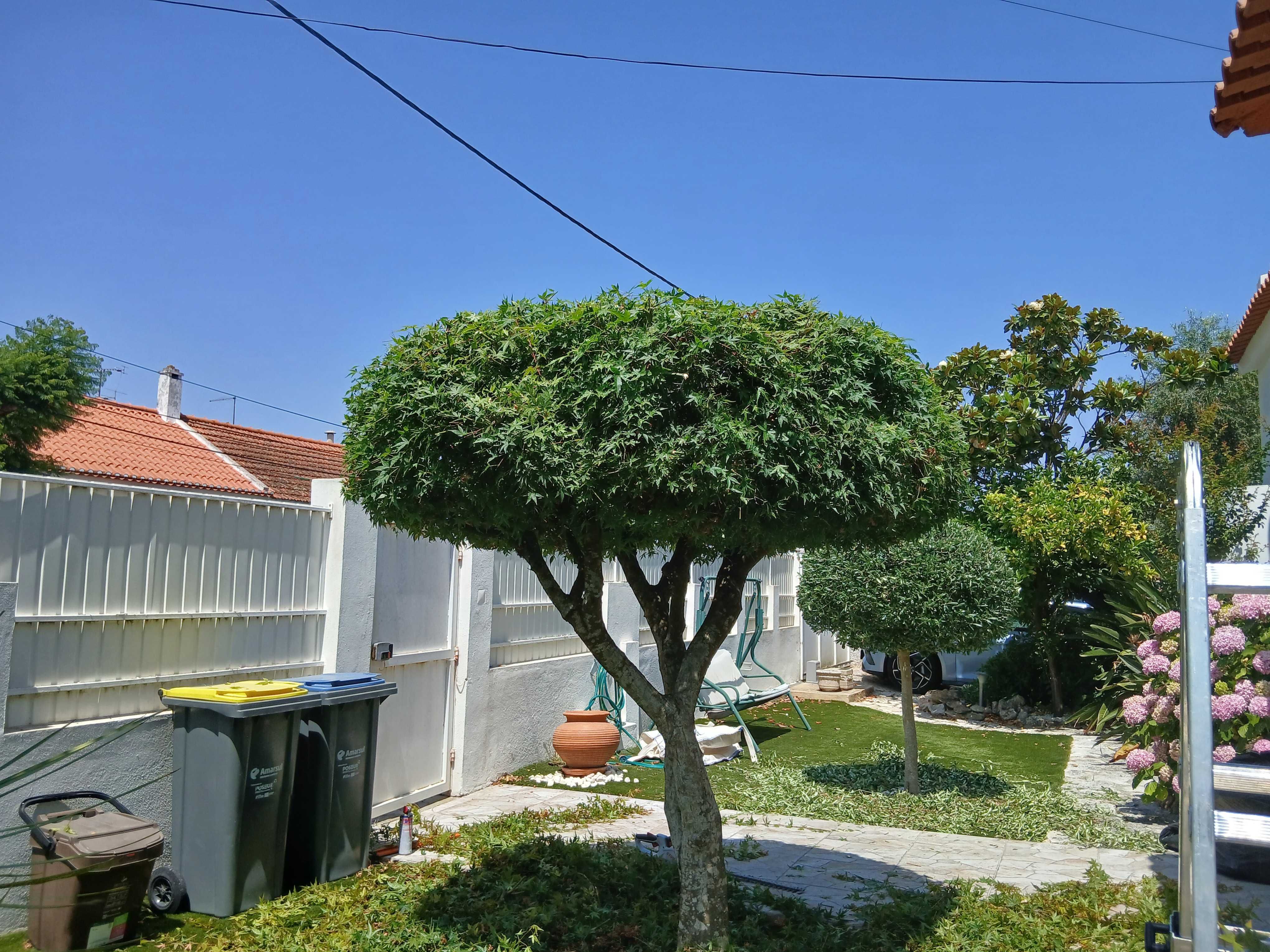 Serviços de jardinagem