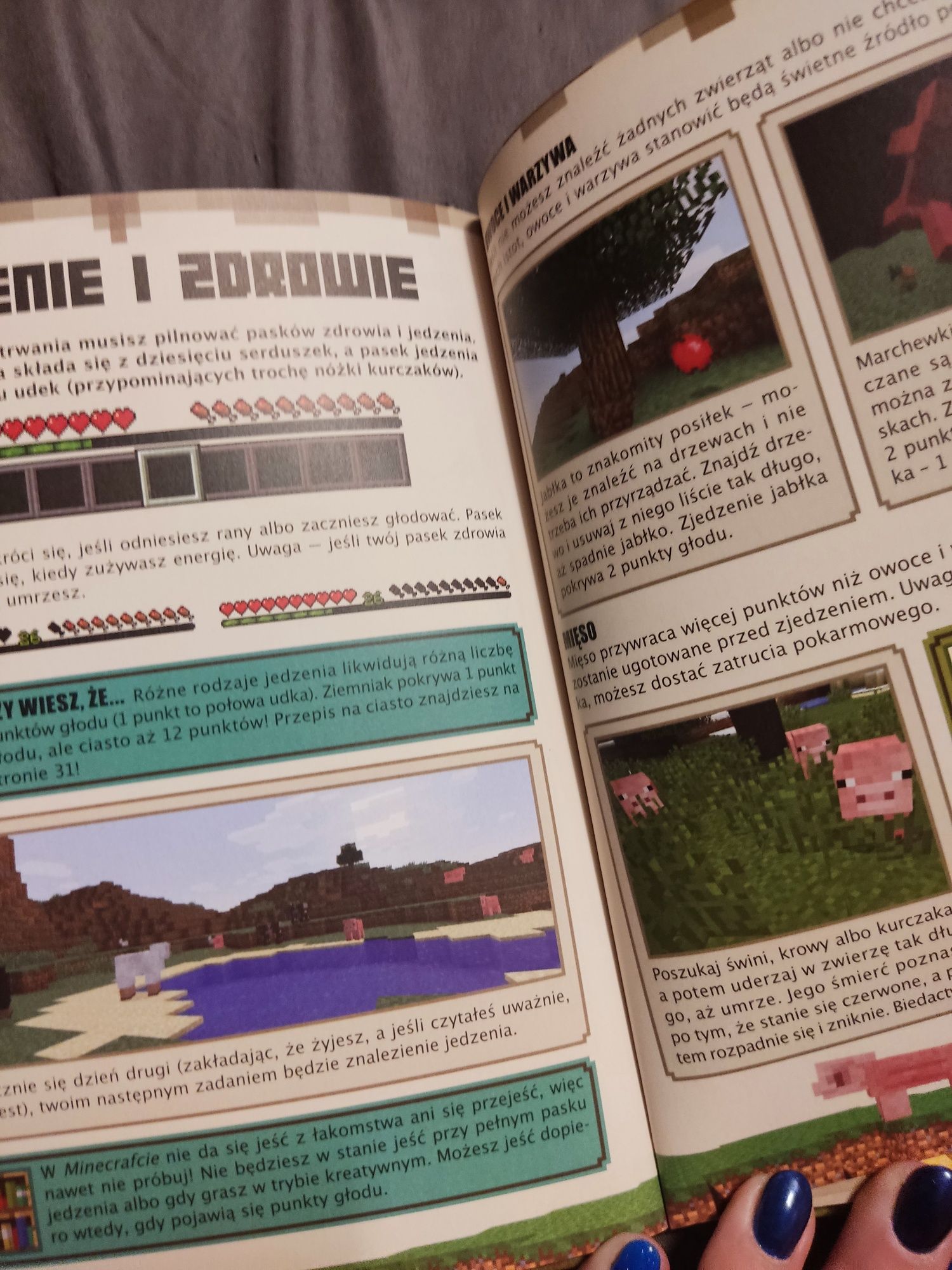Minecraft poradnik dla początkujących Mojang oficjalny