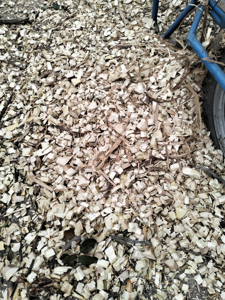 Продам щепу для отопления, мульчирование