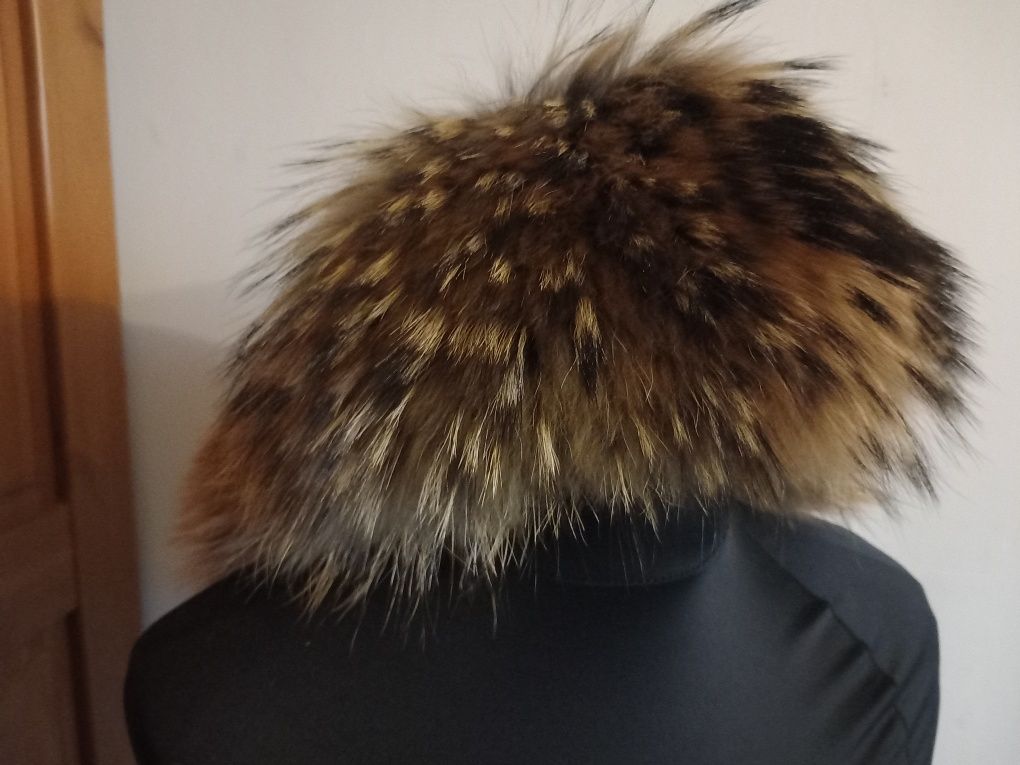 Czapka uszatka , jenot