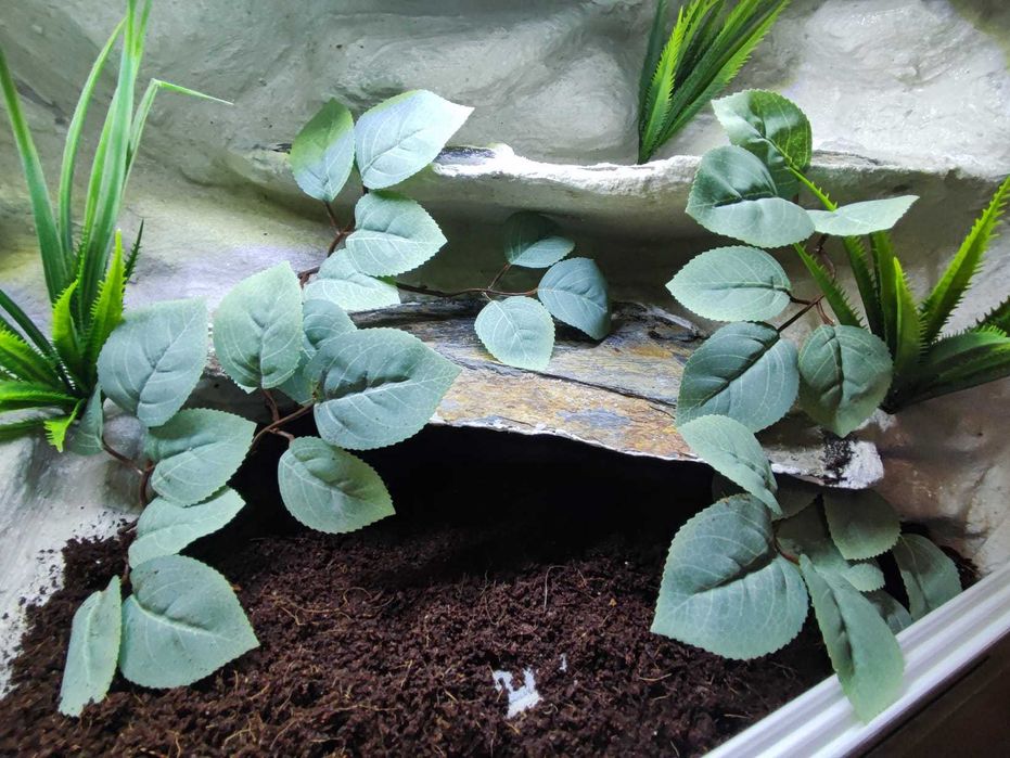 Terrarium tropikalne nr665 80/40/40 dla węża boa pyton NA ZAMÓWIENIE