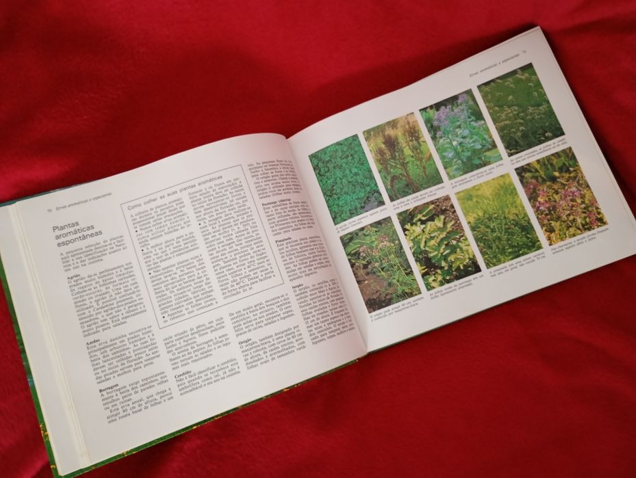 A Saúde Pela Natureza