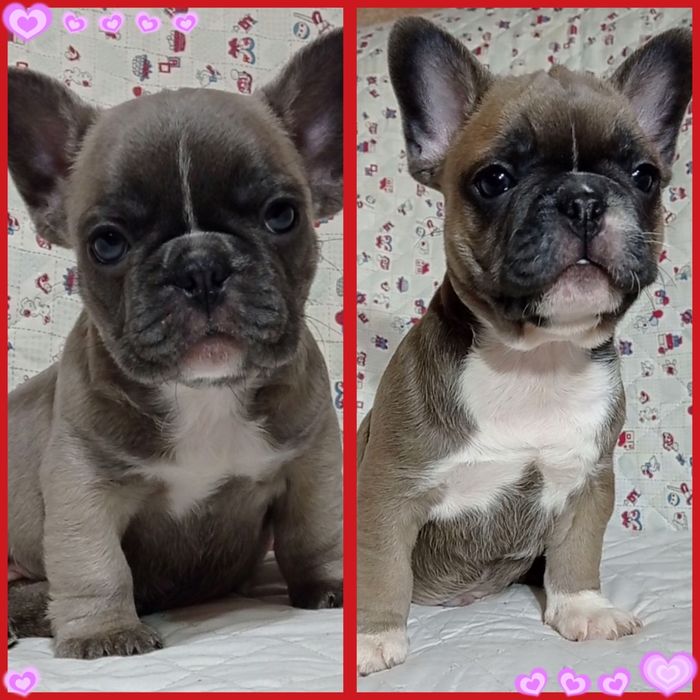 Дуже гарні малята