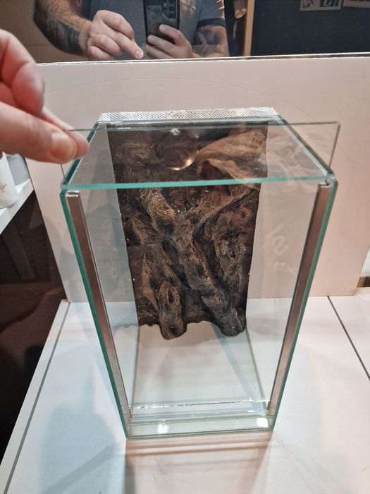 Terrarium szklane wąż pająk patyczak 20x20x36  20l