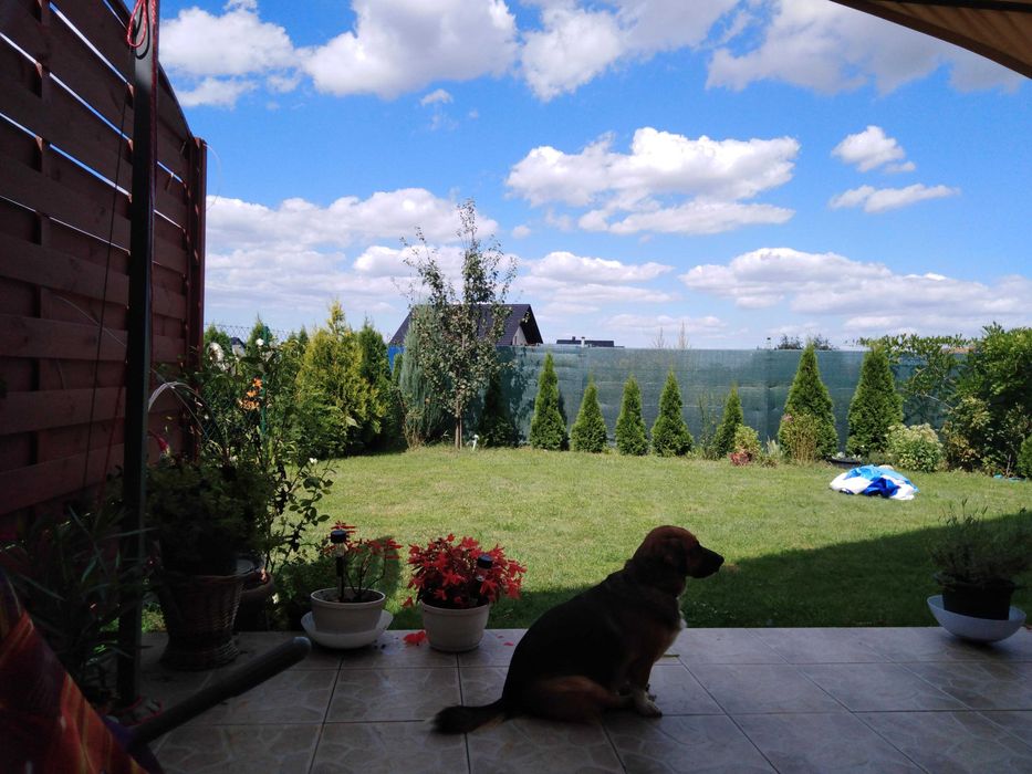 Dom w Chrząstawie Małej ul. Gajowa blisko pkp