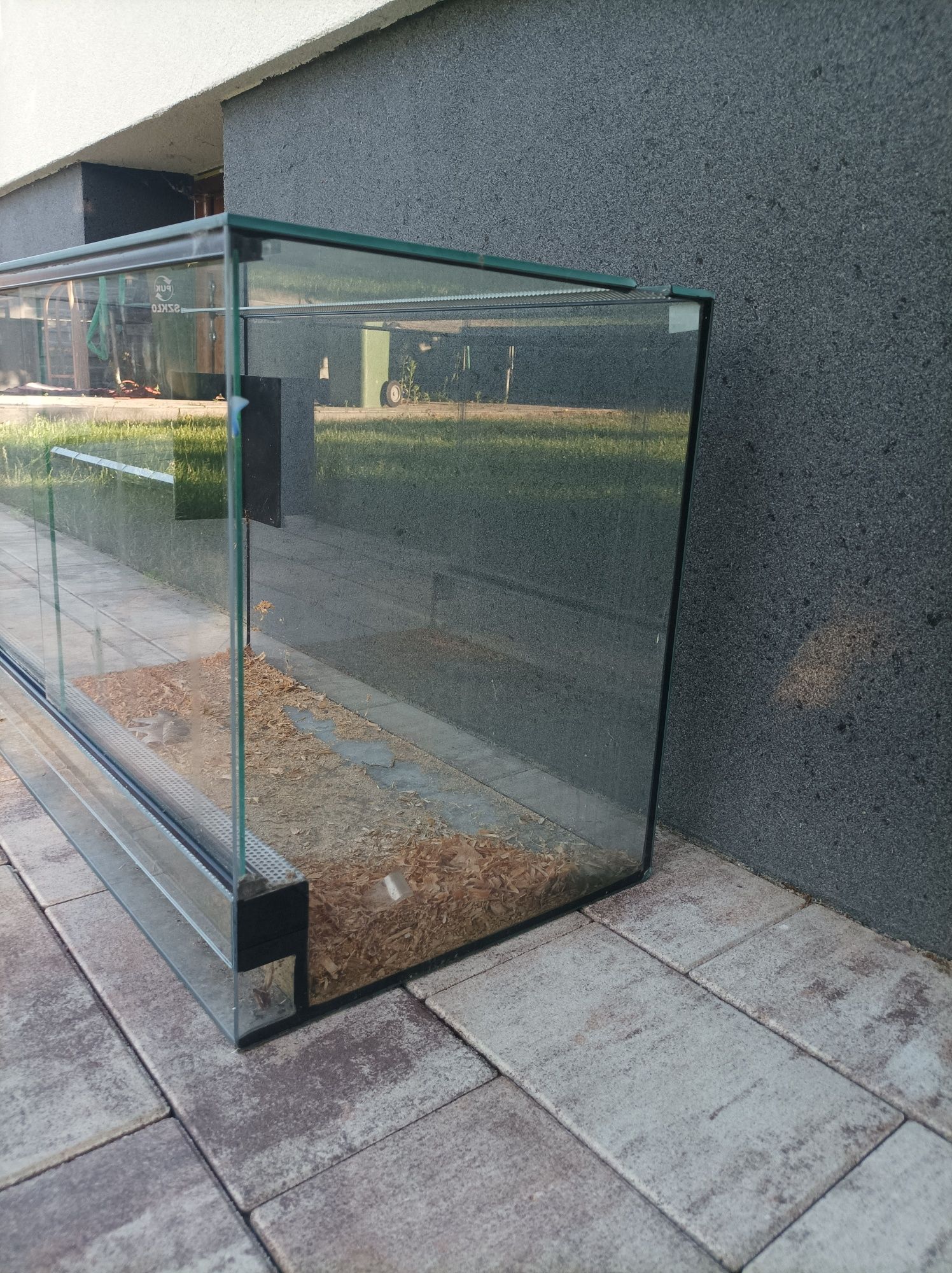 Akwarium/terrarium duże świnka morska .