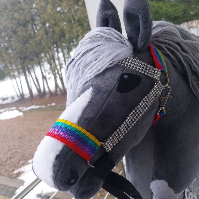 Hobby Horse-koń na kiju